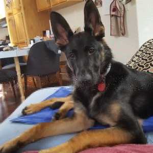 IMG_20180809_081253_384